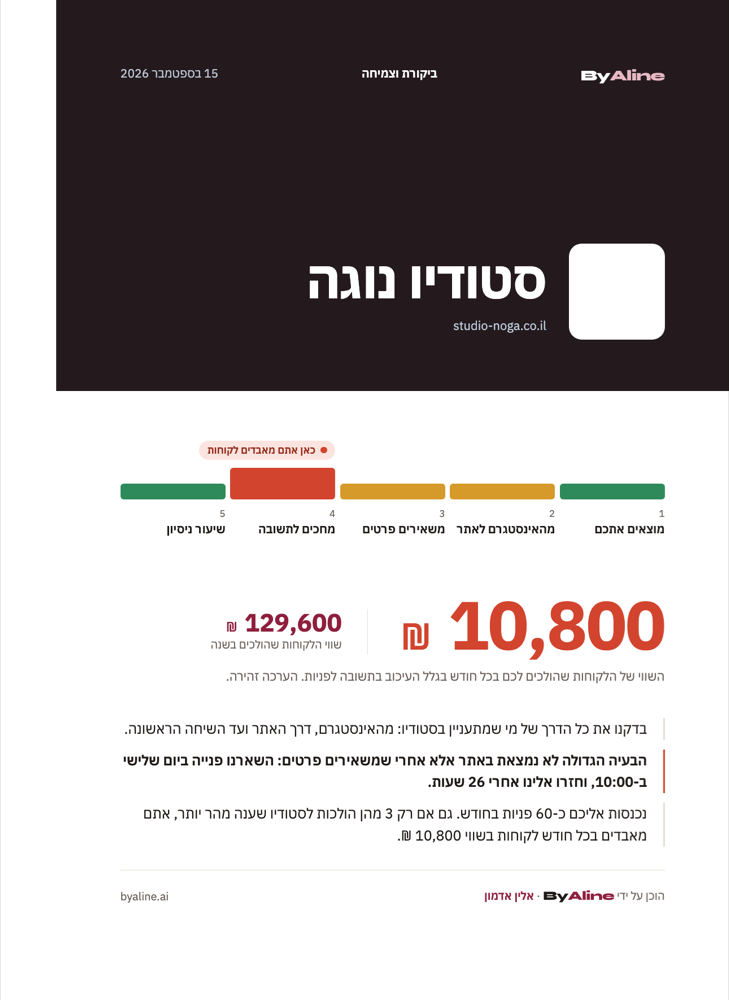 עמוד הפתיחה של דוח ביקורת וצמיחה